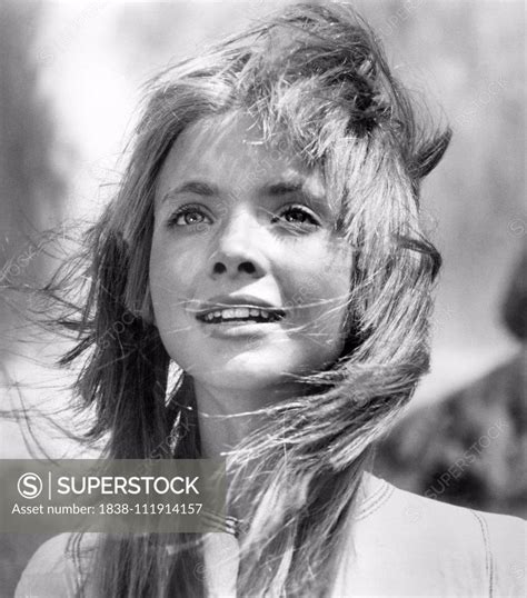 Judi Bowker Publicity Portrait For The Film Brother Sun Sister Moon Paramount Pictures