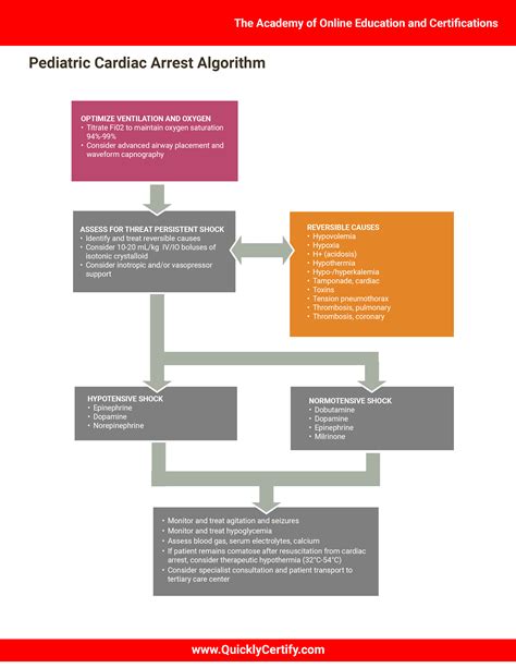 Pediatric Advanced Life Support Algorithms The Institute Of