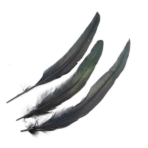 14 16inch(35 40cm) rooster tail feather 10pcs 100pcs ...