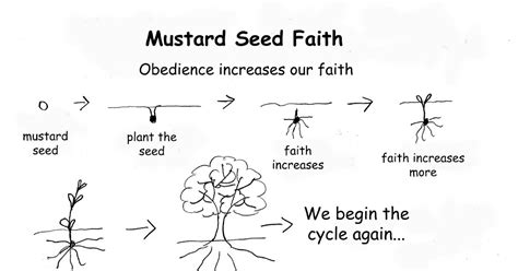 Getting To Know God Mustard Seed Faith