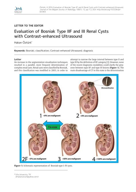 Pdf Evaluation Of Bosniak Type Iif And Iii Renal Cysts With Contrast