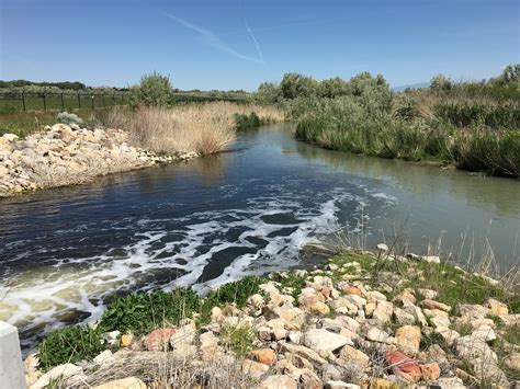 Where the Jordan River's water comes from | UNews