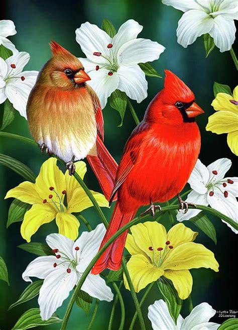 Cardinal Day 2 By Jq Licensing Bird Art Painting Cardinal Painting