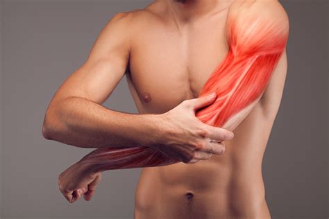 Muscles Struggle To Ever Fully Recover After Losing Tissue Massage