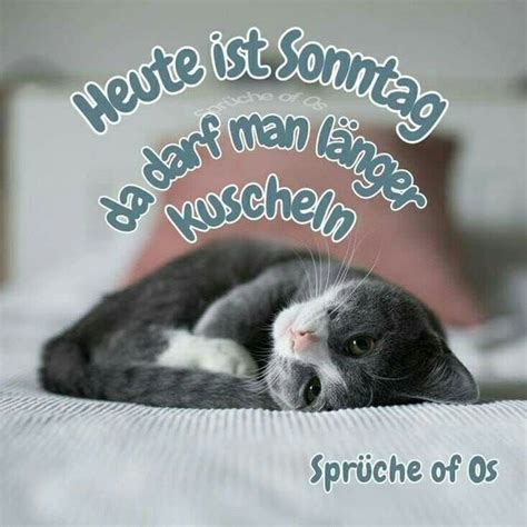 Falls euch während des sex so gar keine dreckigen sätze einfallen, geben wir euch hier ein wenig inspiration. Sonntag und Du noch im Bett? Heute ist es erlaubt, man ...