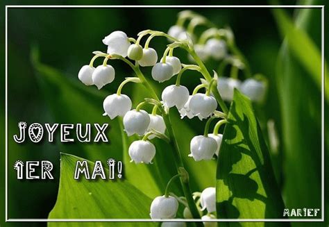 Joyeux 1er Mai Avec Du Muguet Image Animée 