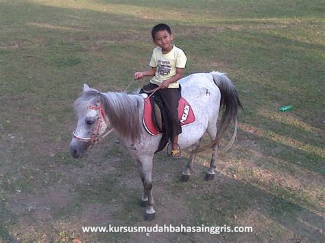 Kalimat adalah satuan bahasa berupa kata atau rangkaian kata yang dapat berdiri sendiri dan menyatakan makna yang lengkap. Tema : Holiday - Hari Libur Materi Bahasa Inggris SD Kelas ...