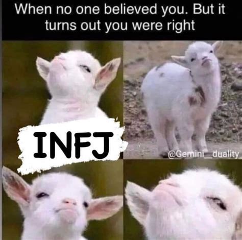 27 Funny And Relatable Infj Memes