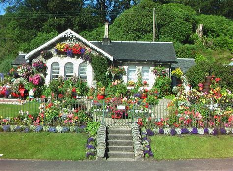 A House Covered In Flowers Photo