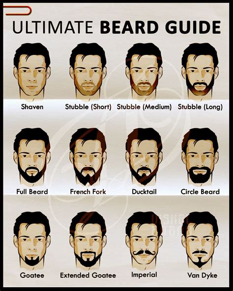 A Mans Guide To Beard Infographics