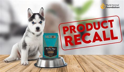 Victor Super Premium Dog Food Recall All You Need To Know Talis Us