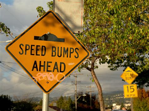 Ethics Panel Florida Mayor Solicited Sex For Speed Bumps