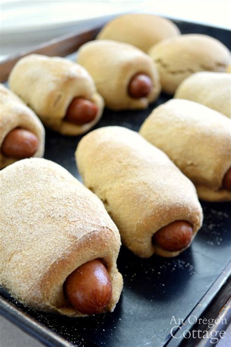 The picture accompanying the next step will give you. Homemade Pigs In A Blanket: From Scratch In An Hour! | An ...