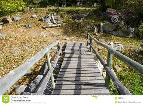 Bridge And Autumn Colorful Forest Stock Photo Image Of
