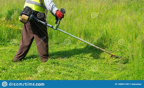 The Gardener Cutting Grass By Lawn Mower Lawn Care Stock Image Image