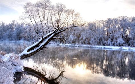 Winter River With A Tree Standing Alone Wallpapers Hd Desktop