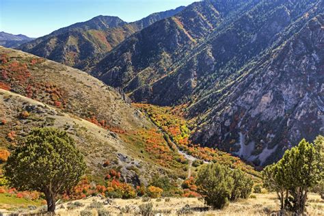 Rattlesnake Gulch Hike Outdoor Project