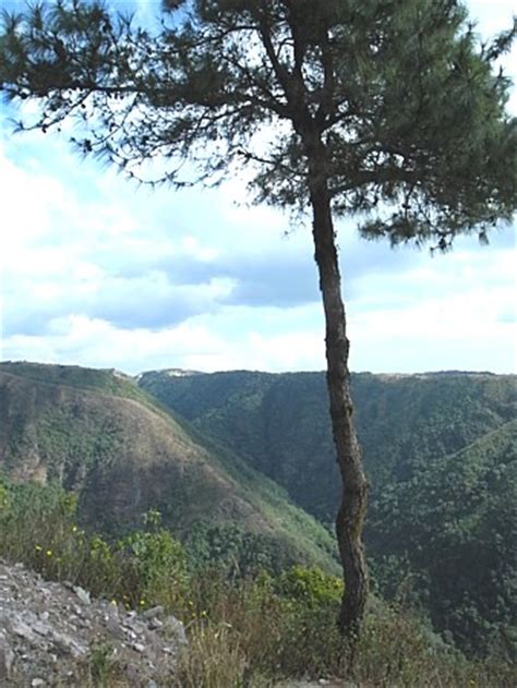 Die vielfalt reicht von den stränden keralas bis zu den himalayas im westen. Höhlen und Landschaft in Meghalaya, Indien