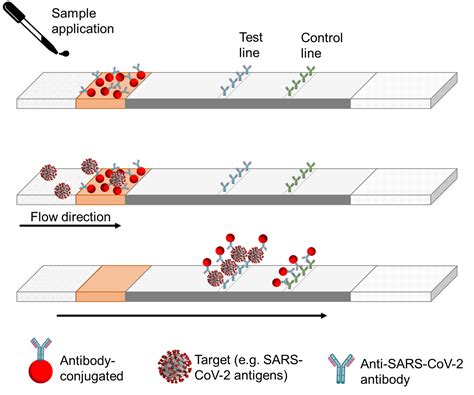 Lateral Flow Assays Reagents And Equipment For Randd Of Lateral Flow Assays