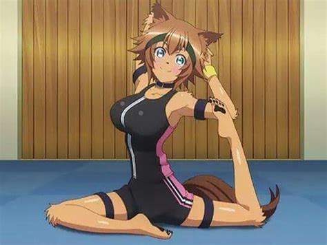 20 Best Anime Wolf Dog Girl Characters Fandomspot Acentertainment