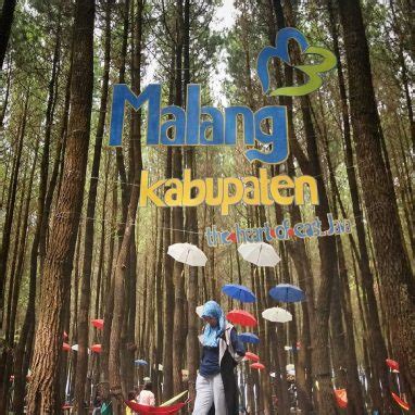 Cek sound bersama di hutan pinus semeru wajak malang 2020. Menikmati Kesejukan Hutan Pinus di Malang, Wisata Ini ...