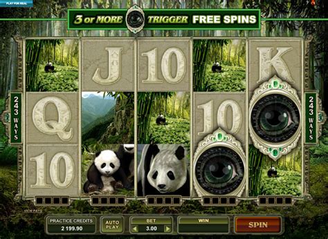 Untamed Giant Panda Slots Review Online Slots Guru