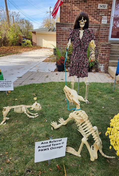 PHOTOS: Viewers create spooky skeleton WGN Morning News display for