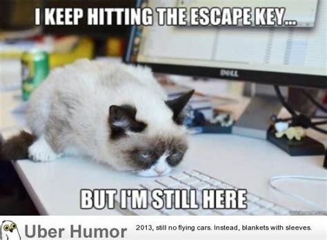 12 tuesdays quote of the day. Tuesday morning Jokes