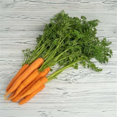 Carrots Bunch Burchills