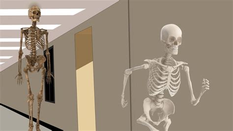 Top 999 Skeleton Meme Wallpaper Full Hd 4k Free To Use
