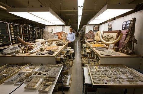 Inside The Archives Storage At The Smithsonian Natural History Museum