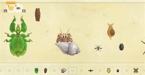 Animal Crossing New Horizons Bug Guide Complete List Of Bugs And