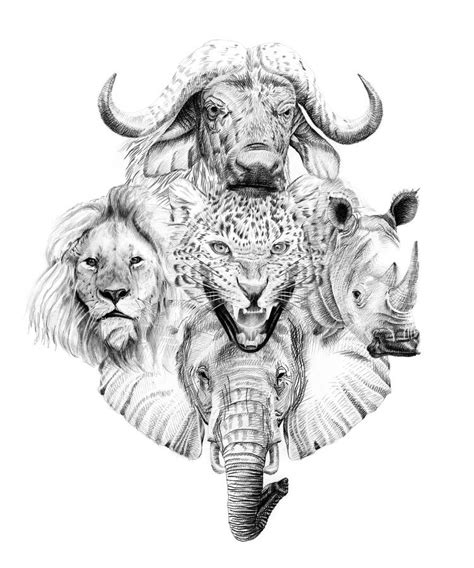 Big African Five Animal Hand Drawn Illustration Stock Illustration