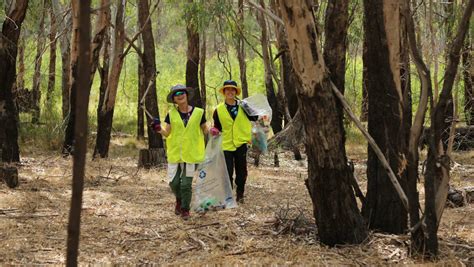 Volunteers Needed For Conservation Volunteers Australia Project