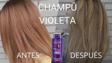 Champ Violeta En Pelo Naranja Rubio Y Casta O Purple Shampoo Loreal