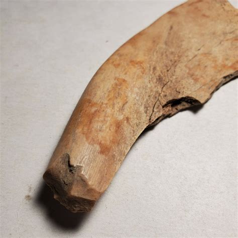 Authentic Indian Artifact Large Bone Tool Native American Etsy