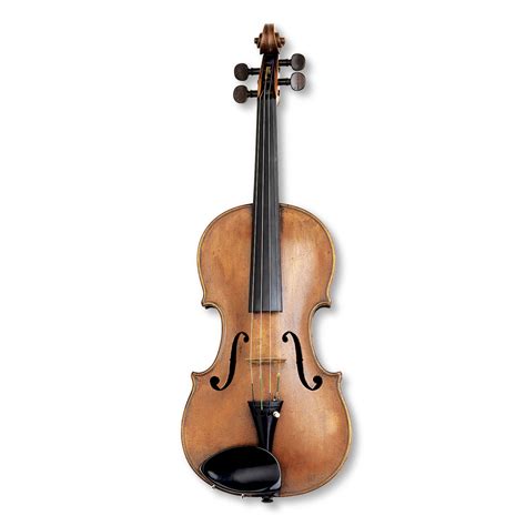 What Is A Violin Violin Facts For Kids Dk Find Out