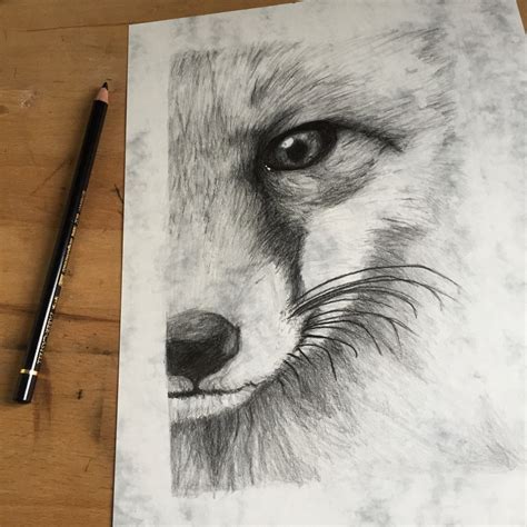 Drawing Fox Face By Lienetje Ourartcorner