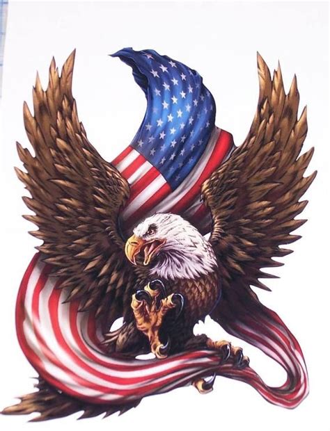 This Listing Is For 1 Full Color Printed Bald Eagle Holding American