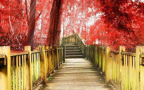 Hd Wallpaper Autumn Park Walkway Stairs Trees Red Leaves Brown