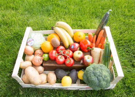 Essential Fruit Veg And Salad Basket Sunharvest Ltd
