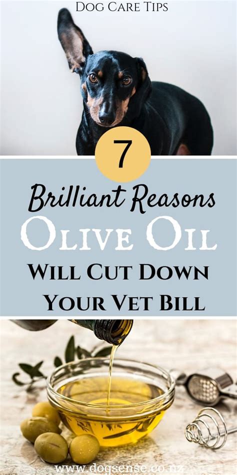 Continue for three to four weeks using three to seven drops each day in each ear. Is Olive Oil Good For Dog's Ears? (Obvious)Things Your Vet ...