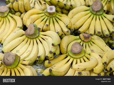 Bunch Fresh Bananas Image And Photo Free Trial Bigstock
