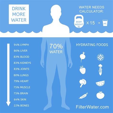 In other words, the body of a 70 kg man contains about 42 liters of water. How Much Water Should I Drink A Day | FilterWater.com