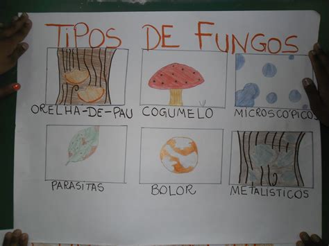 Atividade Sobre Os Fungos