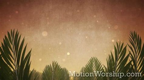 Free Download Picturespool Palm Sunday Greetings Wallpapers 1024x768