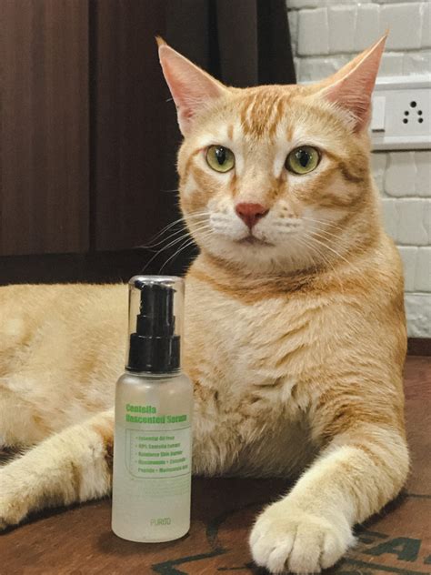 Hair serum is the new term to the people. Purito Centella Unscented Serum | Review | BeautyAnomaly