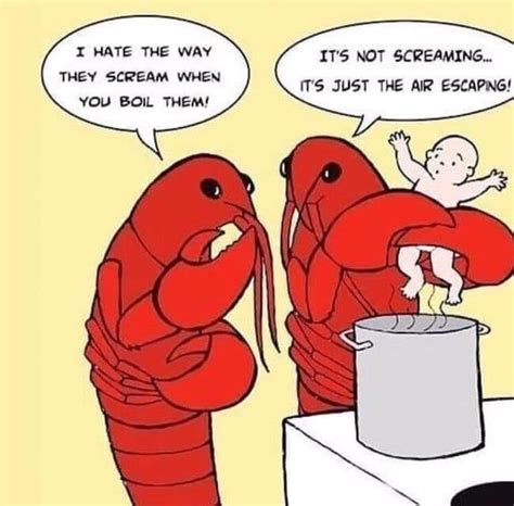 Lobster Pictures And Jokes Funny Pictures And Best Jokes Comics