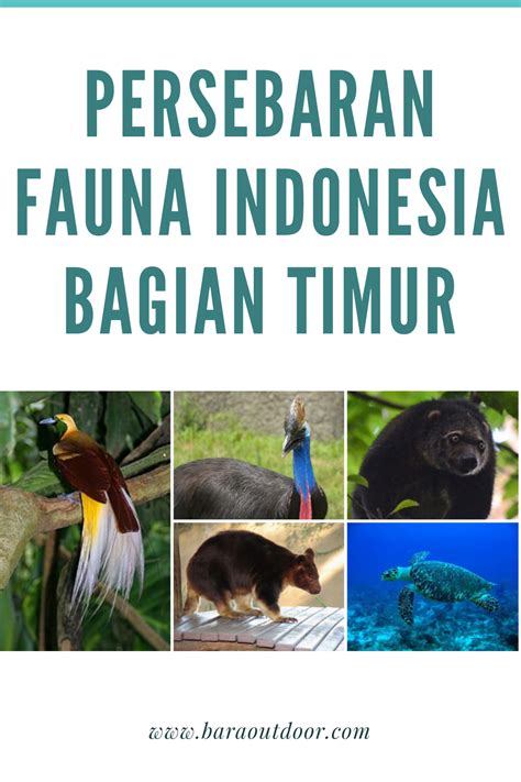 Gambar Peta Persebaran Flora Di Indonesia