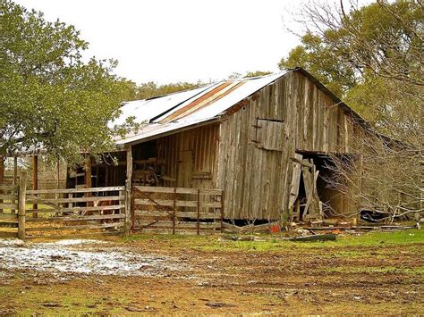 Old Texas Barns For Sale Buscho The Forgotten Barn Fine Art